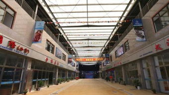 上海漁需物資采購指南 正規(guī)市場與線上平臺(tái)推薦