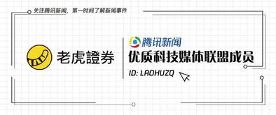 從3年漲10倍到一個(gè)月腰斬 芯片巨頭AMD的“過山車”之旅與行業(yè)反思